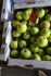 Яблоки сорта джонаголд, глостер - фотография №2
