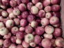 Яблоки оптом сорт фридом, белорусское сладкое 65+ - фотография №1