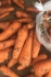 Морковь 14.50 р. - фотография №3
