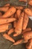 Морковь от производителя, оптом и в розницу. - фотография №2