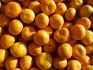 Абхазские мандарины оптом выгодно! - фотография №5