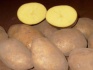 Картофель от 5 тонн - фотография №1
