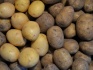 Картофель продовольственный со склада кфх - фотография №1