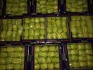 Перец долма, каппия, чилли острый от фабрики babacan import export - фотография №2