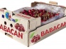 Фрукты и ягоды из турции фабрика babacan import export - фотография №1
