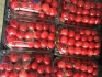 Фрукты и ягоды из турции фабрика babacan import export - фотография №2