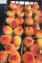 Фрукты и ягоды из турции фабрика babacan import export - фотография №4