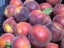 Фрукты и ягоды из турции фабрика babacan import export - фотография №5
