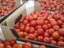 Продаём томаты оптом - фотография №1