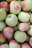 Яблоки от производителя - фотография №1