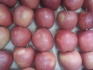 Яблоки от производителя - фотография №2