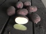 Выращиваем и реализуем картофель - фотография №3