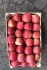 Продам крымские яблоки - фотография №3