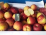 Продам яблоки крымские оптом - фотография №1