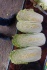Продам пекинскую капусту оптом - фотография №1