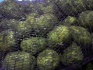 Картофель оптом от производителя 10 руб. за кг - фотография №3