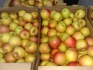 Яблоки 1 и 2 сорт оптом от кфх в ростове на дону - фотография №3