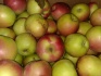 Яблоки 1 и 2 сорт оптом от кфх в ростове на дону - фотография №6