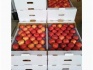 Яблоки оптом от производителя 41,50 руб./кг - фотография №3