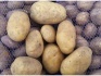 Яблоки оптом от производителя 41,50 руб./кг - фотография №4