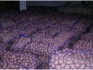 Яблоки оптом от производителя 41,50 руб./кг - фотография №6