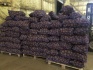 Картофель оптом от 20 тонн,по всей россии - фотография №6