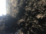 Плодородный грунт чернозём торф - фотография №2