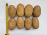 Картофель оптом, сорт королева анна, цена 9 руб./кг. - фотография №3