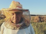 Пчелы, матки, пчелосемьи, пчелопакеты, отводки - фотография №1