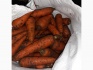 Морковь мелким крупным оптом в москве - фотография №1