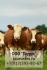 Продается крс чистопородных коров симментальской породы - фотография №3