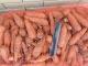 морковь мелкий