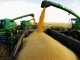 Продается Пшеница 3 кл. 800 т.
