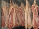 Мясо оптом от производителя