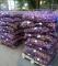 Картофель от 20 тонн в Нижегородской области