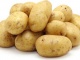 Оптовая продажа картофеля производство г. Брянск
