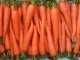 морковь от производителя