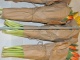 Тюльпаны в Абакане оптом от производителя