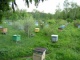 Продам мёд в Калужской области