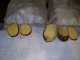 Продовольственный картофель, оптом, с доставкой, сорт: Ред-Скарлет, н