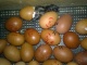 цыплята яйцо петухи