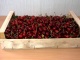 Ящики шпоновые для фруктов и овощей в Крыму от производителя