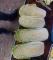 Продам пекинскую капусту ОПТОМ