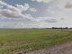 Продам землю сельхозназначения в Волосовском районе