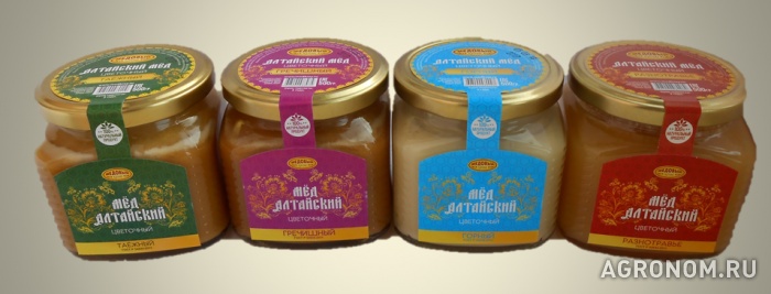 . Мёд натуральный Алтайский, опт, экспорт - фотография №1