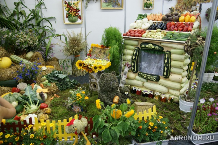 Vrtna kućica vrtna bašta seoska kuća u kategoriji toplinski izolacijski podovi za biljke, agrofibre u Rusiji