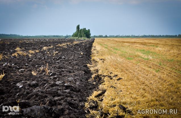 Растениеводство. В Адыгее ущерб от града превысил 111 млн рублей - фотография №1