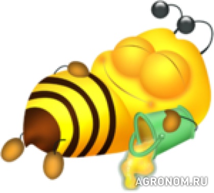 Пчеловодство. Азбука Пчеловода. Введение - фотография №1