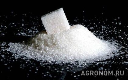 Услуги. Кубань приступила к переработке сахарной свеклы - фотография №1