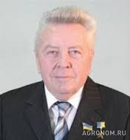 Информация. 7 января 2014 года умер Герой Украины Михаил Зубец - фотография №1